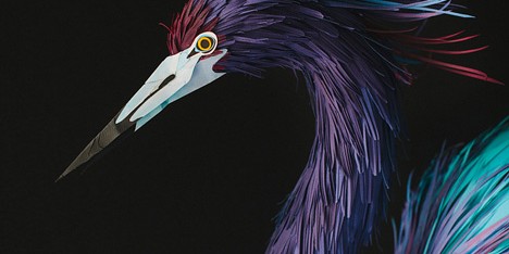 Paper birds by Diana Beltran Herrera