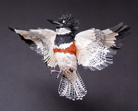 Paper birds by Diana Beltran Herrera