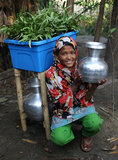 Plant-based water-purifying system named "Idea that will change the world"