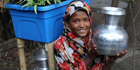 Plant-based water-purifying system named "Idea that will change the world"