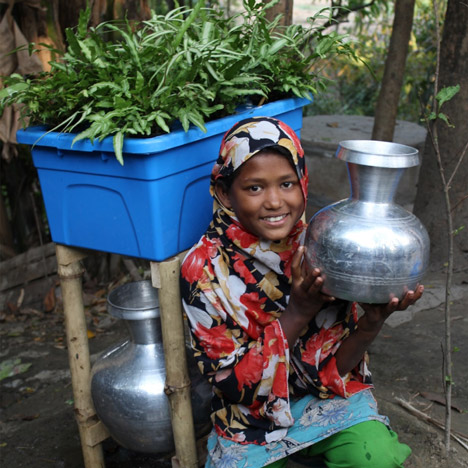 Plant-based water-purifying system named "Idea that will change the world"