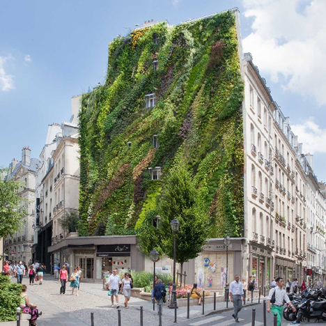 The Oasis of Aboukir by Patrick Blanc