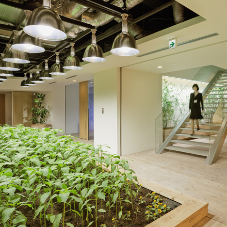 Pasona Urban Farm by Kono Designs