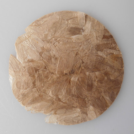 Coleoptera insect plastic by Aagje Hoekstra