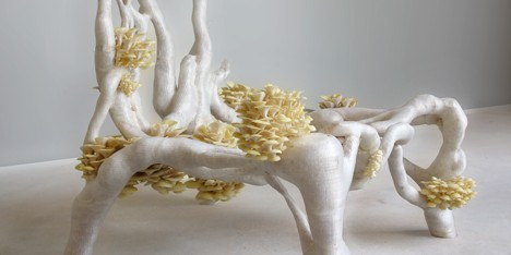 Mycelium Chair by Eric Klarenbeek