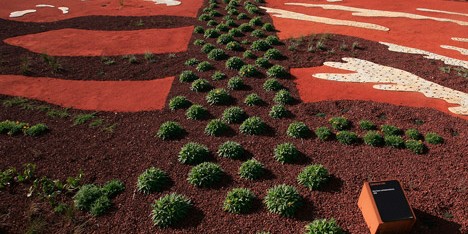 “This was the first botanical garden purely for Australian native plants”