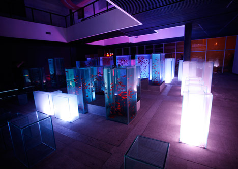 Fishpond City by Lu Yang, Christian Lindle and Raoul Bukor