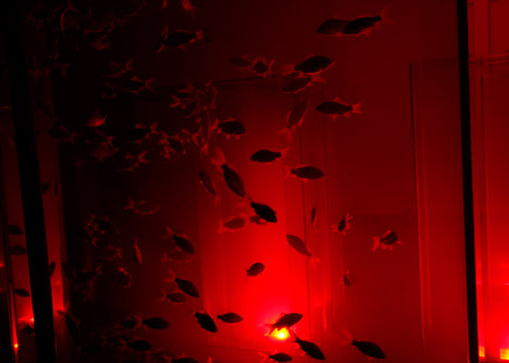 Fishpond City by Lu Yang, Christian Lindle and Raoul Bukor