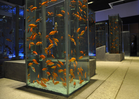 Fishpond City by Lu Yang, Christian Lindle and Raoul Bukor