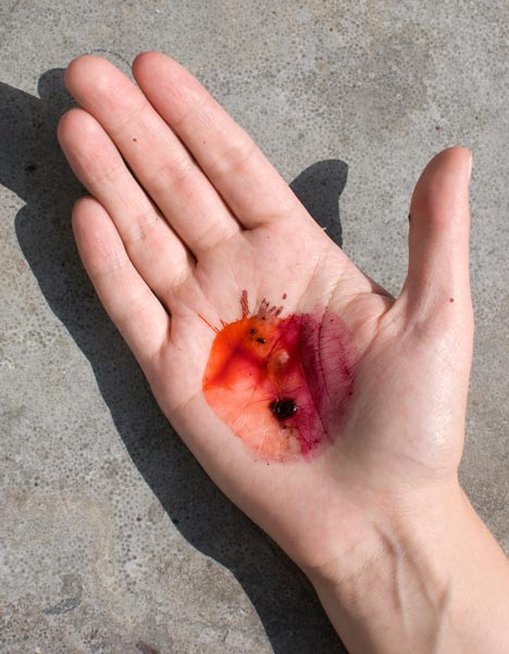 Insect ink by Evelien Crooy