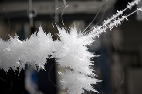 Spiders Thread by Tokujin Yoshioka