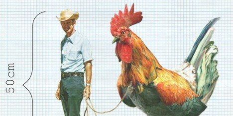 The Incredible Shrinking Man