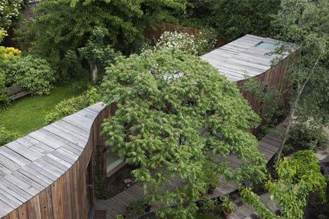Tree House by 6a Architects