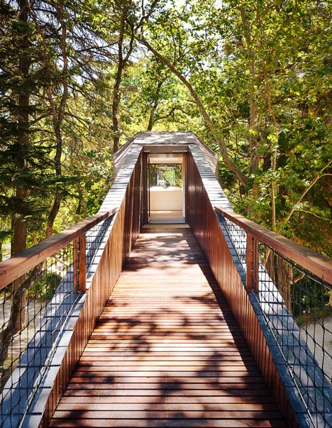 dezeen_Tree Snake Houses_7