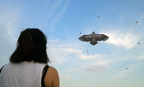 Marina Barrage, Singapore