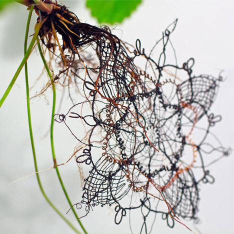 Biolace by Carole Collet