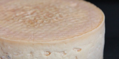 Cheeses made with human bacteria recreate the smell of armpits or feet
