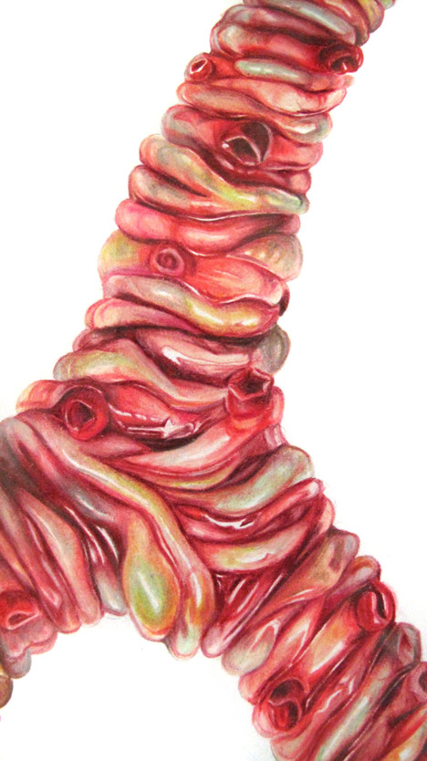Circumventive Organs by Agatha Haines
