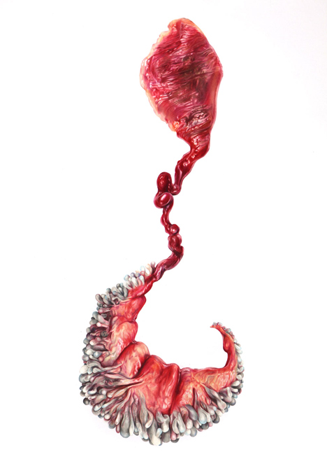 Circumventive Organs by Agatha Haines