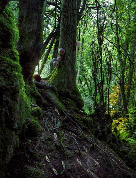 Designing for the Sixth Extinction by Alexandra Daisy Ginsberg