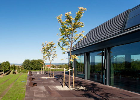 Esterházy Etyeki Kúria Winery by BORD Architecture Studio