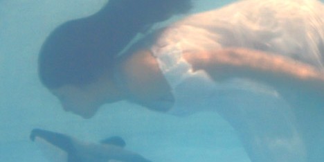 I Wanna Deliver A Dolphin by Ai Hasegawa