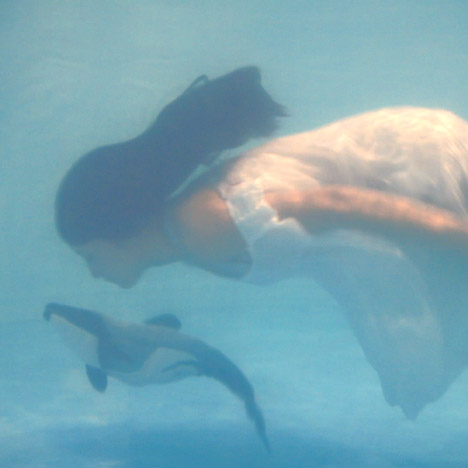 I Wanna Deliver A Dolphin by Ai Hasegawa