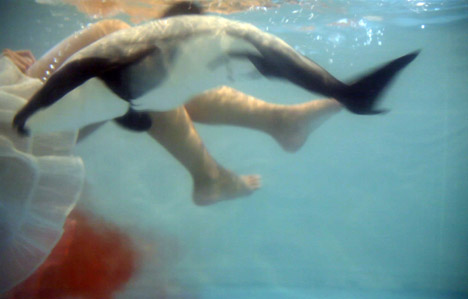 I Wanna Deliver A Dolphin by Ai Hasegawa