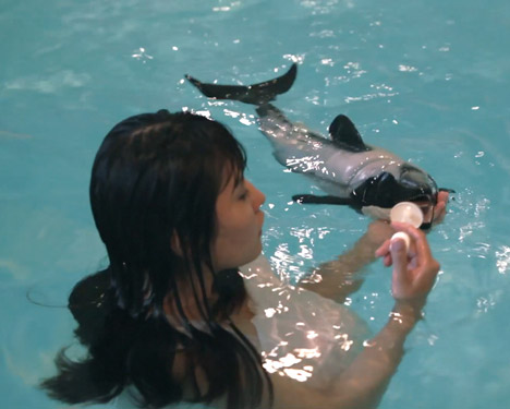 I Wanna Deliver A Dolphin by Ai Hasegawa