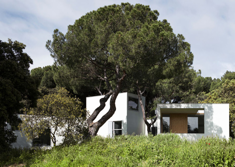 MO House in the woods by FRPO