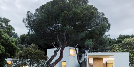 MO House in the woods by FRPO