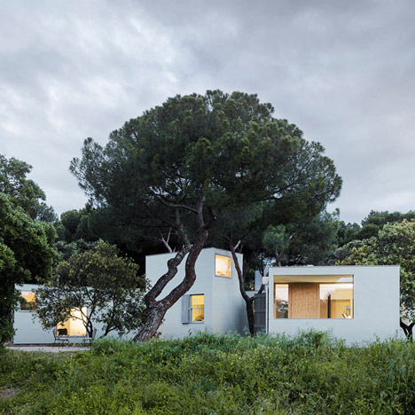 MO House in the woods by FRPO