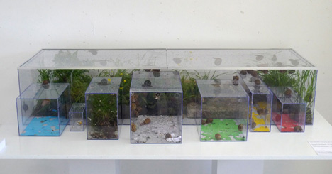 Snail Poo project by Lieske Schreuder