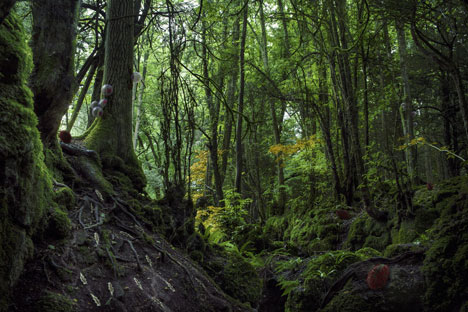 Synthetic creatures could "save nature" says Alexandra Daisy Ginsberg