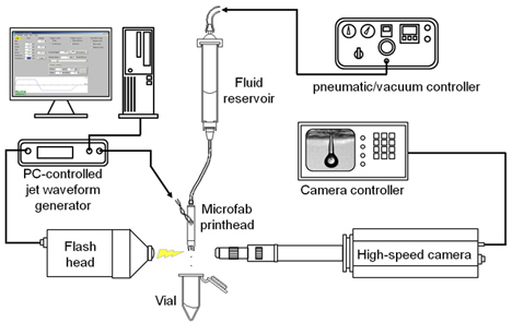 Aparatus used to print eye cells