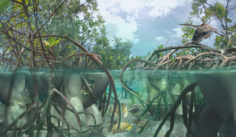 Modular CALTROPe structure forms natural dams by cultivating mangroves