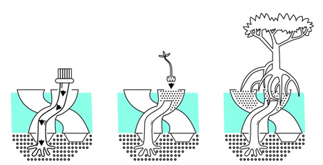 Modular CALTROPe structure forms natural dams by cultivating mangroves