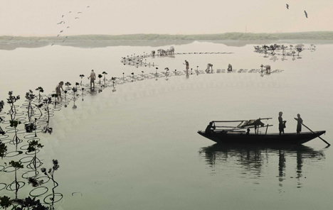 Modular CALTROPe structure forms natural dams by cultivating mangroves