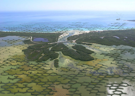 Modular CALTROPe structure forms natural dams by cultivating mangroves