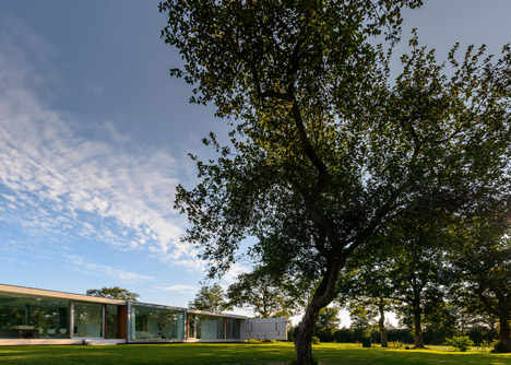 Dutch studio Inbo hides a transparent house behind a grove of trees