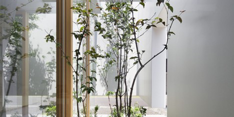 Green Edge House by mA-style Architects encases a perimeter garden behind its walls