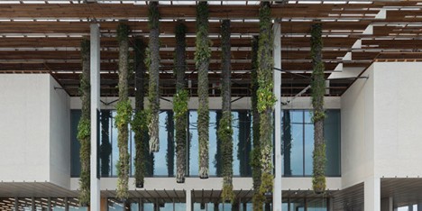 Perez Art Museum in Miami by Herzog & de Meuron