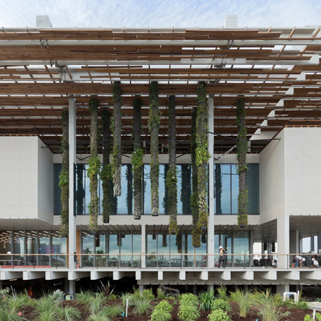 Perez Art Museum in Miami by Herzog & de Meuron