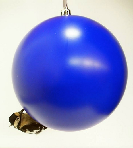 Polly Morgan Christmas Bauble