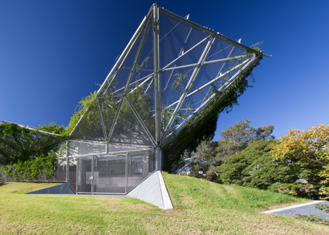 Waterloo Youth Family and Community Centre by Collins and Turner_dezeen_8
