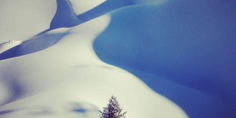 Merry Christmas from Dezeen
