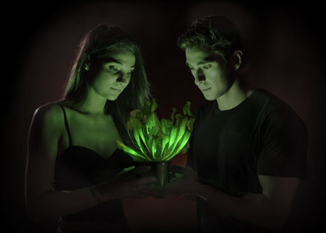 American firm genetically engineers world's first glow-in-the-dark plant