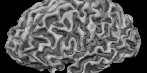 Brain Manufacturing by Merel Bekking