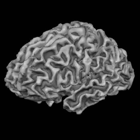 Brain Manufacturing by Merel Bekking