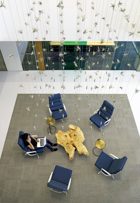 Cisco offices by Studio O+A features wooden meeting pavilions